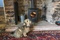 Dean Cottages dog-friendly Accommodation Mitcheldean pets welcome